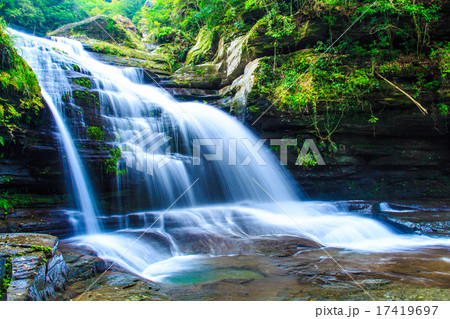 新緑のつがね落しの滝 17419697