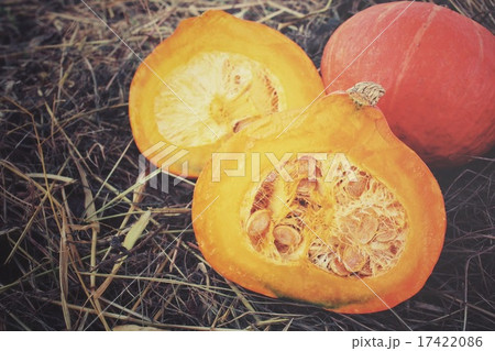 Fresh pumpkins on dried grass Fresh pumpkins on dried grass 17422086