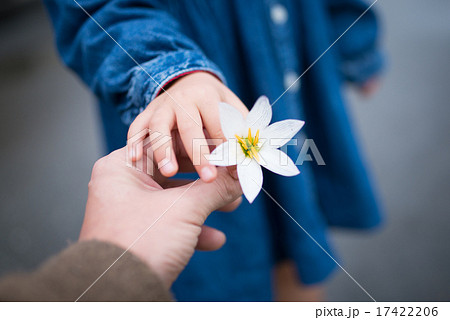 タマスダレの花を手渡す親子 17422206