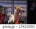 龍踊り 17423091