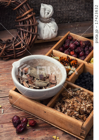 harvesting of medicinal herbs 17423632