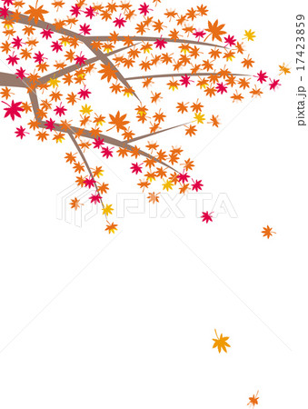 満開の紅葉 17423859
