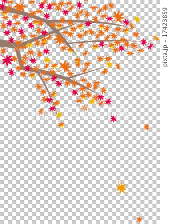 満開の紅葉 17423859