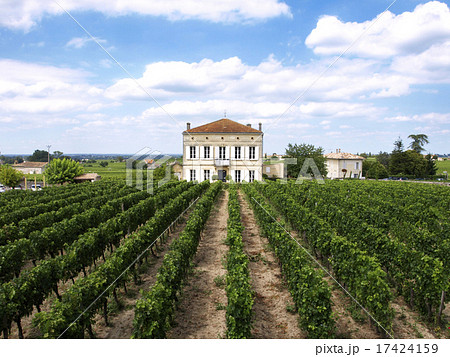 ボルドーのぶどう畑 17424159