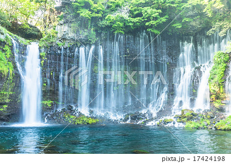 白糸の滝【静岡県】 17424198