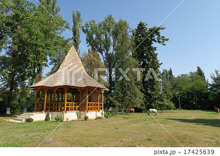 スナゴブ修道院　庭園 17425639