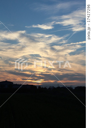 夕方 17427296