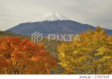 二十曲峠の紅葉 二十曲峠の紅葉 17427334