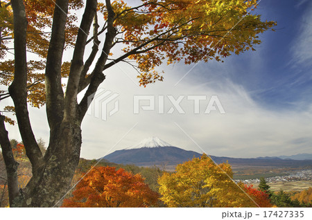 二十曲峠の紅葉 17427335