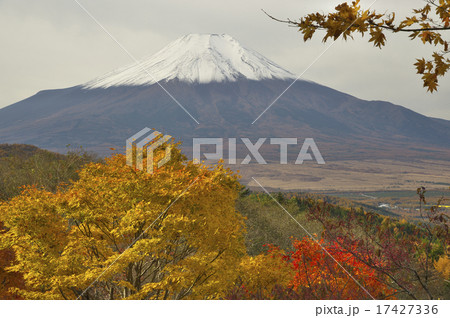 二十曲峠の紅葉 17427336