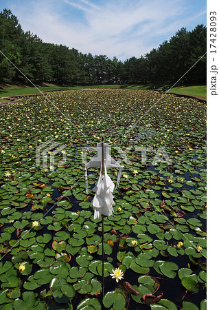 みそぎ池。日本神話に出てくるイザナキノミコトが禊（みそぎ）を行った場所 17428093