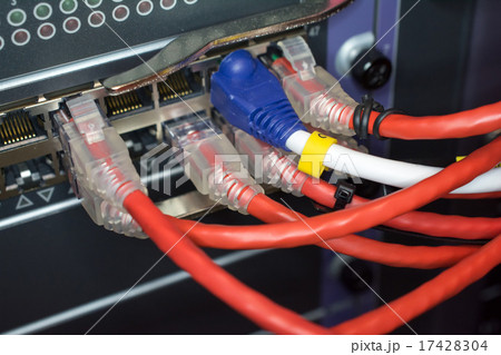network cables connected to switch 17428304