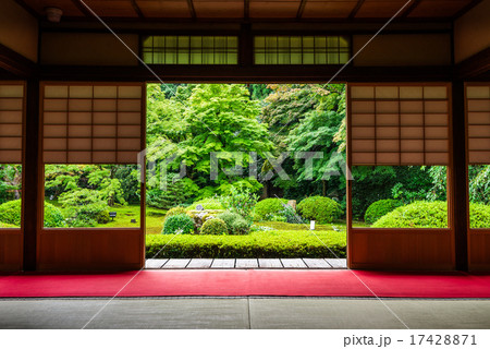京都　雲龍院　庭園 17428871