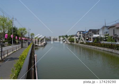 東京 葛飾 水元公園の釣り堀の写真素材