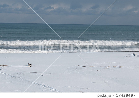 冬の海 冬の海 17429497