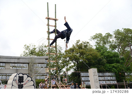 梯子乗り 梯子乗り 17430286