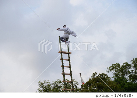 梯子乗り 17430287