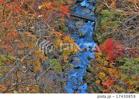 鳴子渓谷の紅葉 鳴子渓谷の紅葉 17430859