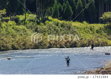 鮎の友釣り 鮎の友釣り 17431984