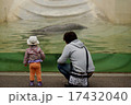 見つめる 17432040