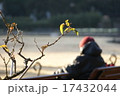 冬 17432044