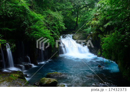 菊池渓谷　夏 17432373
