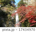滝と紅葉 17434970