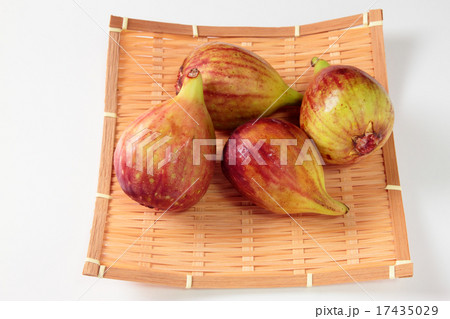 いちじく 17435029