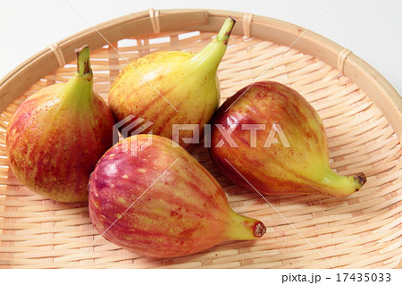 いちじく いちじく 17435033