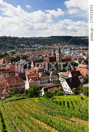 Beautiful geman city and wine fields 17435855