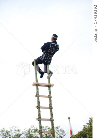 梯子乗り 梯子乗り 17439392