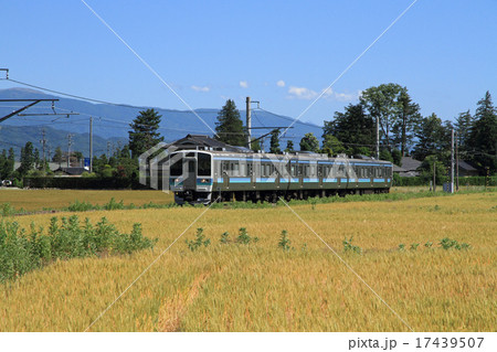 大糸線　麦秋 17439507