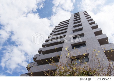 新築のマンション 17439527