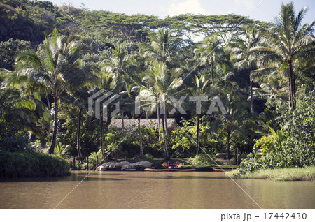 ワイルアリバー、カウアイ島、ハワイ-2 17442430