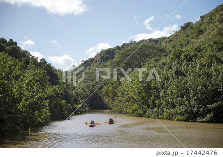 ワイルアリバーとカヤック、カウアイ島、ハワイ 17442476