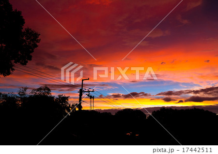 夕焼け雲と電柱 夕焼け雲と電柱 17442511