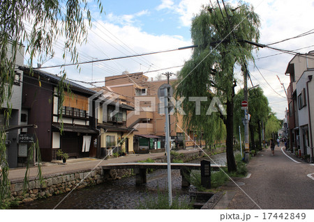 柳の木と川/京都府京都市 柳の木と川/京都府京都市 17442849