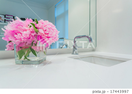 Interior design of a luxury bathroom 17443997