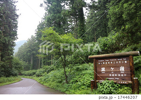 上林森林公園 17446207