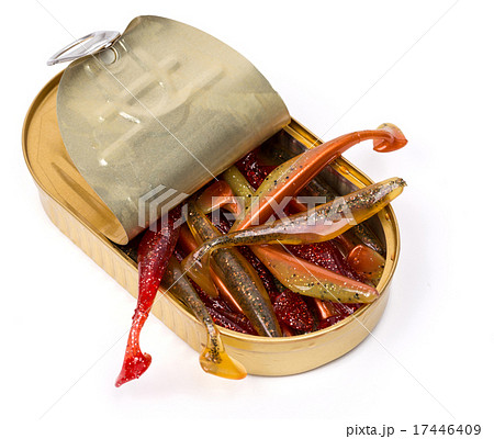 Swimbait different colors in open can 17446409