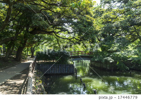 洗足池公園 洗足池公園 17446779