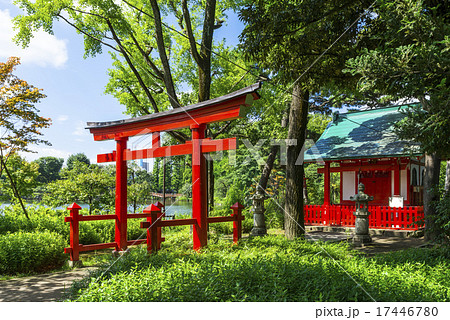 洗足池公園の弁財天 17446780
