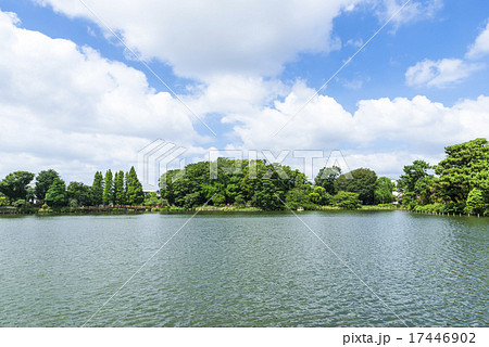 洗足池公園 17446902