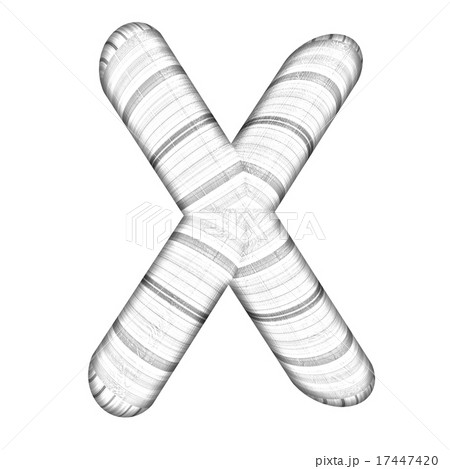Wooden Alphabet. Letter "X" on a white Wooden Alphabet. Letter "X" on a white 17447420