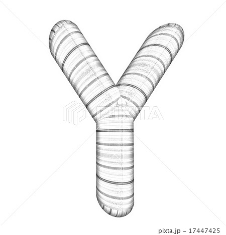Wooden Alphabet. Letter "Y" on a white 17447425