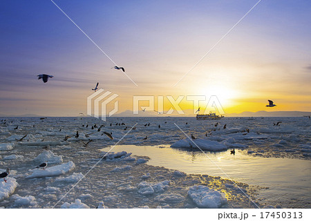 知床の流氷 知床の流氷 17450313