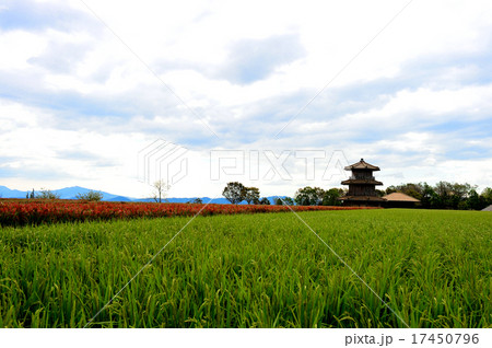 鞠智城 鞠智城 17450796