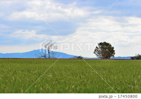 鞠智城 鞠智城 17450800