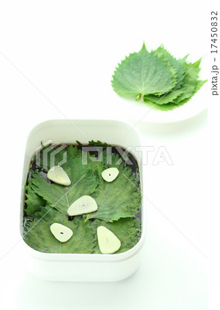 大葉の醤油漬け 大葉の醤油漬け 17450832