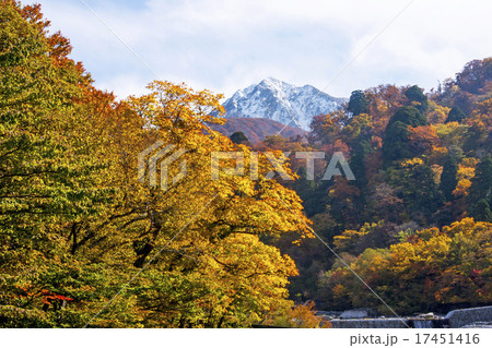 大山の紅葉 17451416